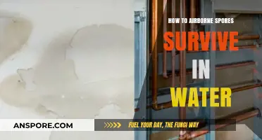 Airborne Spores' Water Survival: Unveiling Their Aquatic Resilience Secrets