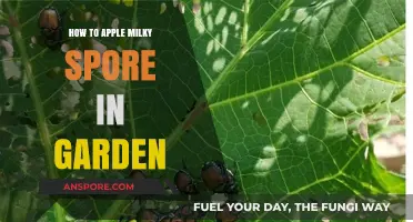 Effective Milky Spore Application: A Guide to Grub Control in Gardens