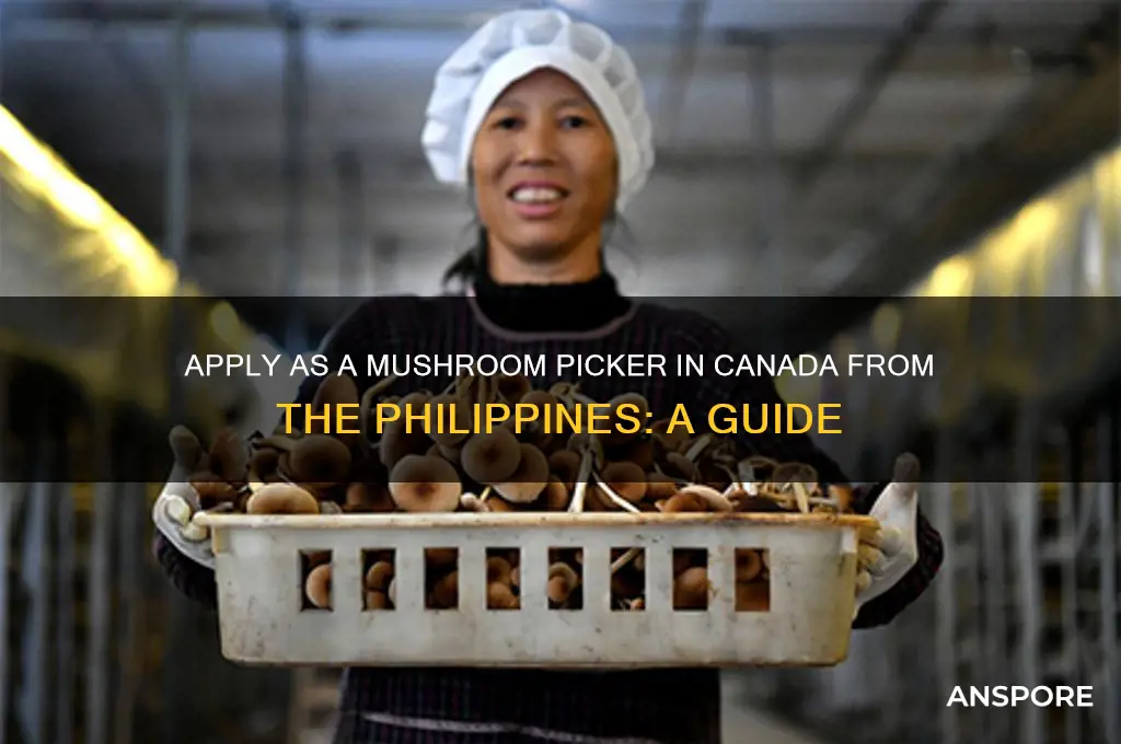 how to apply as mushroom picker in canada from philippines