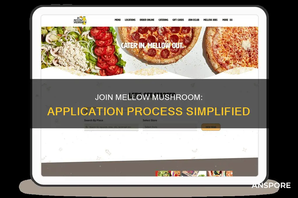 how to apply at mellow mushroom