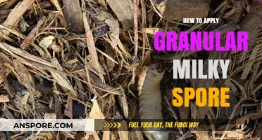 Effective Application Guide: Granular Milky Spore for Grub Control in Lawns