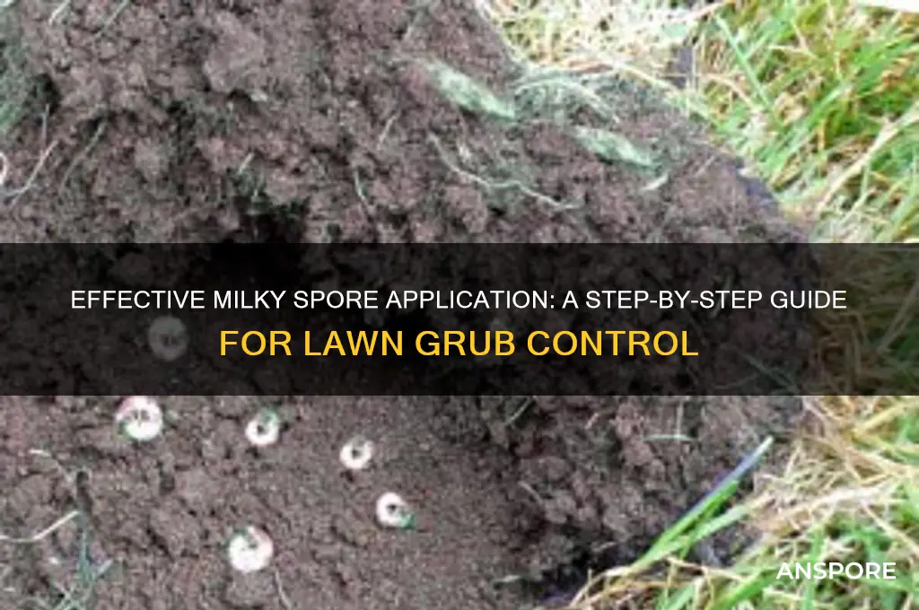 how to apply milkey spore