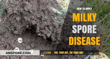 Effective Milky Spore Application: A Step-by-Step Guide for Lawn Care