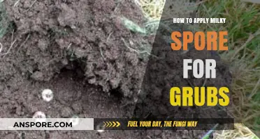 Effective Milky Spore Application: A Step-by-Step Guide to Grub Control