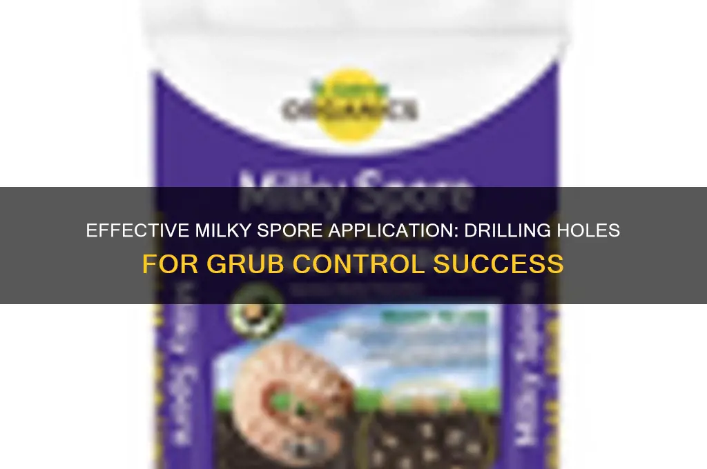 how to apply milky spore granules holes