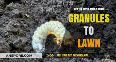Effective Milky Spore Granules Application Guide for a Healthy Lawn