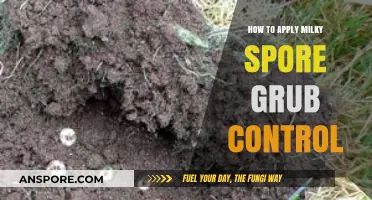 Effective Milky Spore Application: A Guide to Grub Control in Lawns