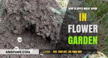 Effective Milky Spore Application Tips for Healthy Flower Gardens