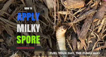 Effective Milky Spore Application: A Step-by-Step Guide for Lawn Grub Control