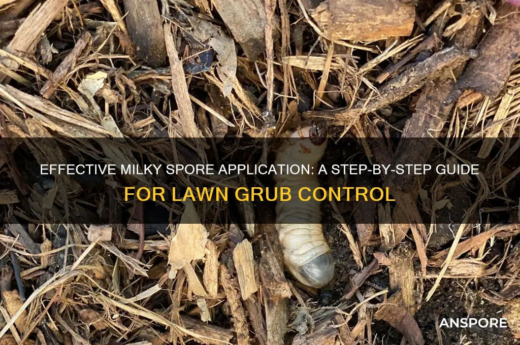 how to apply milky spore