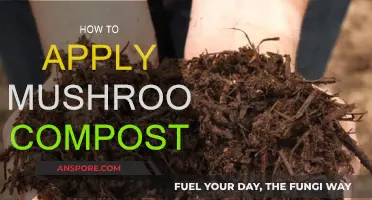 Mushroom Compost Application: Best Practices for Your Garden