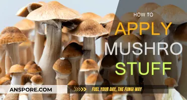 Mushroom Magic: Applying the Superfood's Benefits