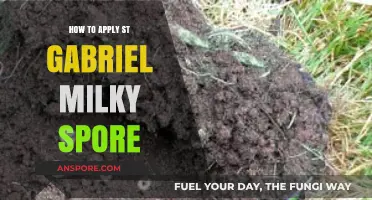 Effective Application Guide: Using St. Gabriel Milky Spore for Grub Control