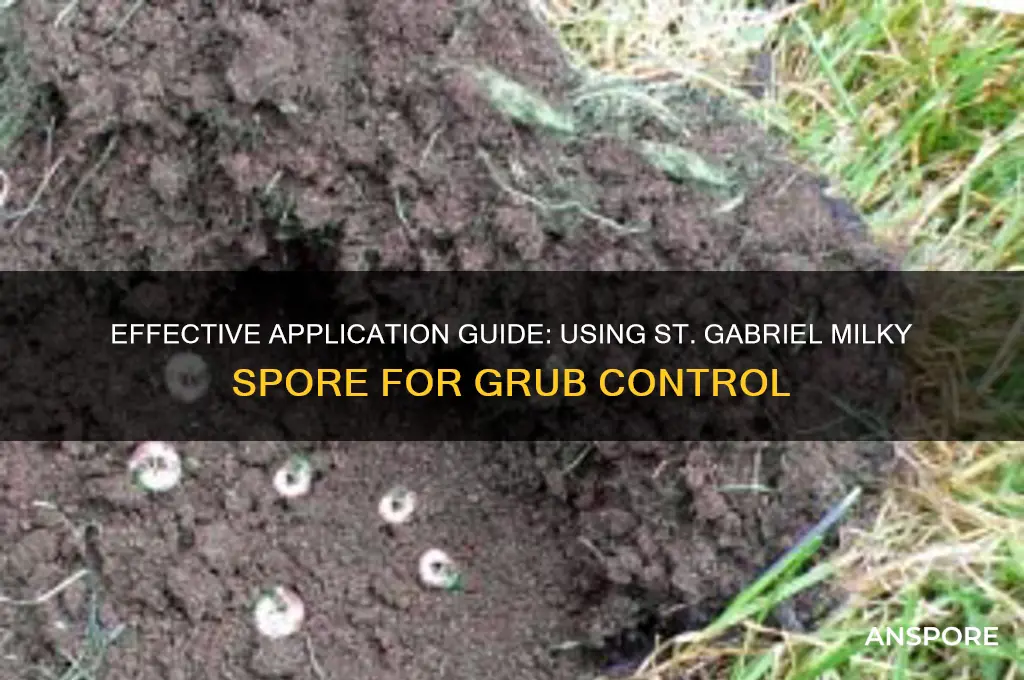 how to apply st gabriel milky spore