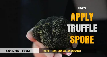 Mastering Truffle Cultivation: A Step-by-Step Guide to Applying Truffle Spores