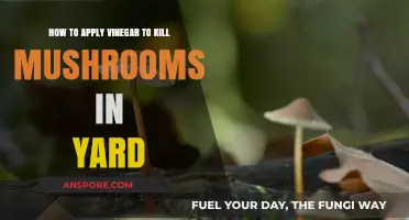 Eradicate Yard Mushrooms with Vinegar: A Natural Solution