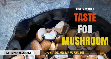 Mushroom Appreciation: Developing a Palate for Fungi