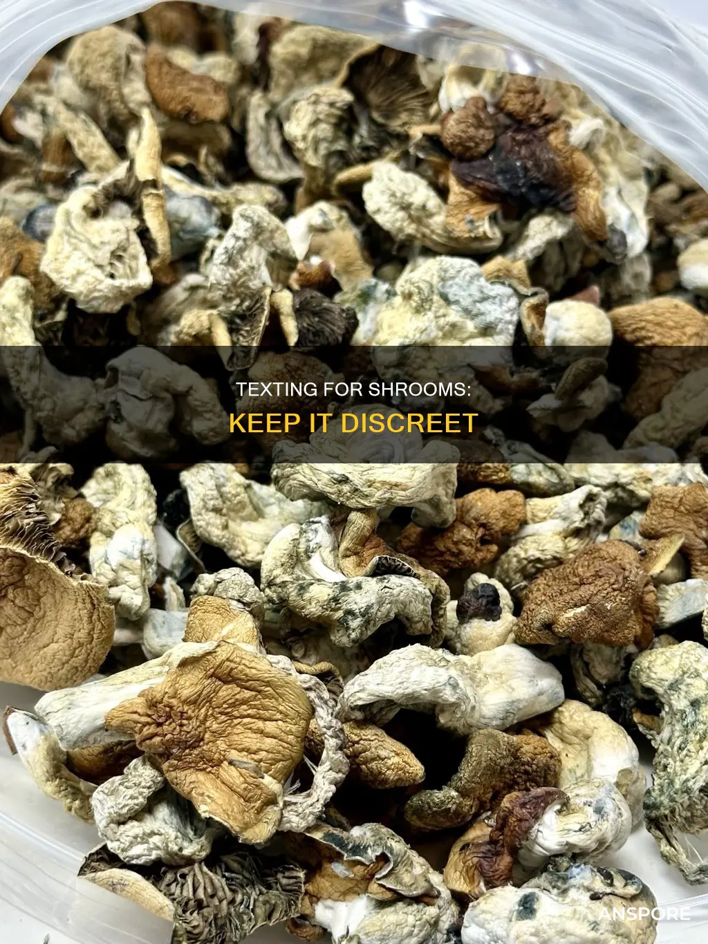 how to ask someone discreetly for mushrooms over text