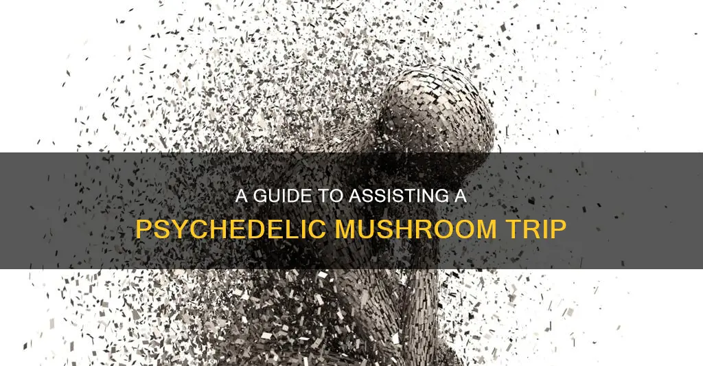 how to assist psychedelic mushrooms trip