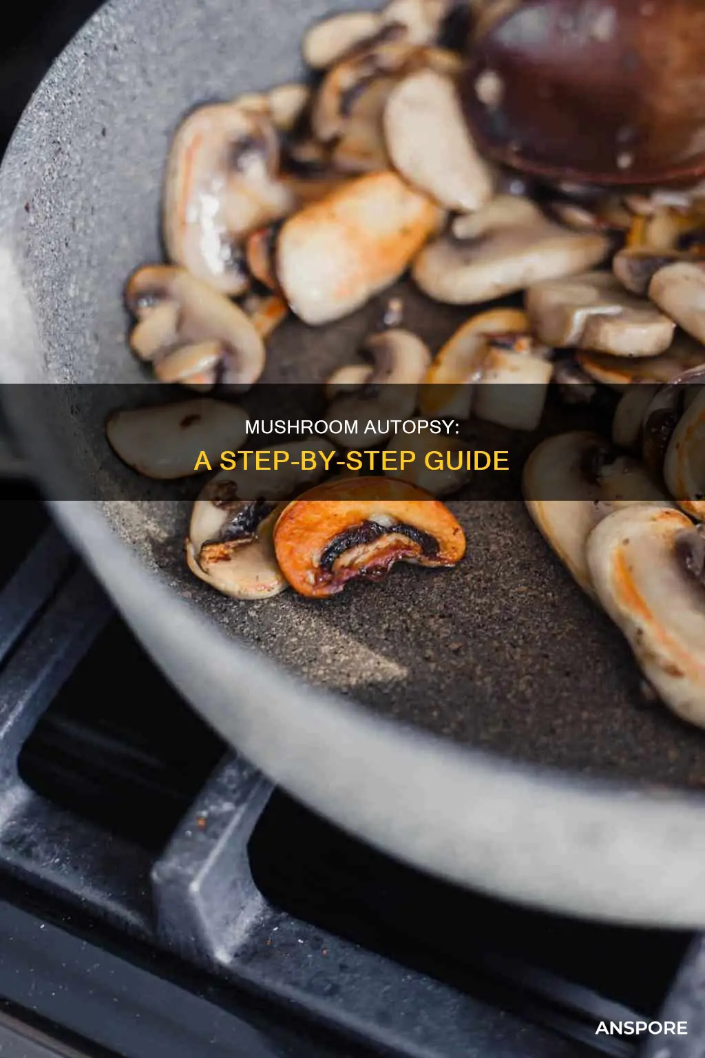 how to asute mushrooms