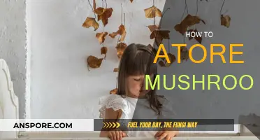 The Ultimate Guide to Storing Mushrooms