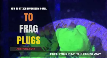 Attaching Mushroom Corals: Using Frag Plugs