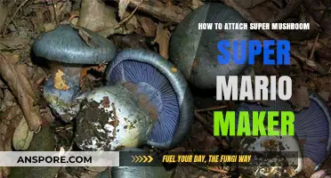 Mastering Super Mario Maker: Attaching Super Mushrooms for Epic Levels