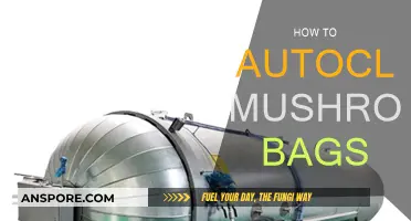 Sterilizing Mushroom Bags: Autoclave Process Simplified
