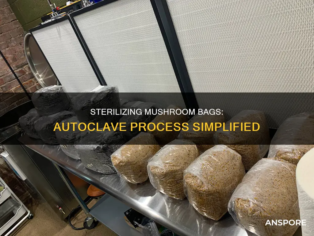 how to autoclave mushroom bags