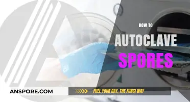 Mastering Autoclave Techniques: Safely Sterilizing Spores in Laboratory Settings