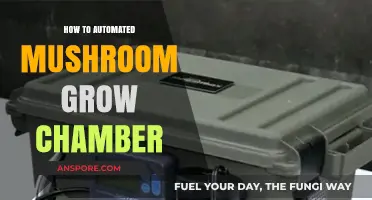 Automate Your Mushroom Farming: Building a Smart Grow Chamber