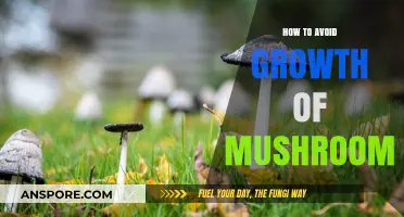 Preventing Mushroom Growth: Tips for a Fungi-Free Space