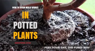 Prevent Mold Spores in Potted Plants: Essential Tips for Healthy Growth