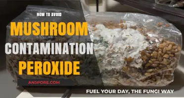Prevent Mushroom Contamination: Peroxide Power