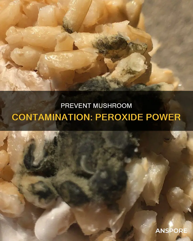 how to avoid mushroom contamination peroxide
