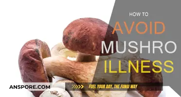 Stay Safe: Avoid Mushroom Illness with These Tips