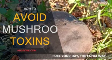 Smart Steps to Avoid Mushroom Toxins