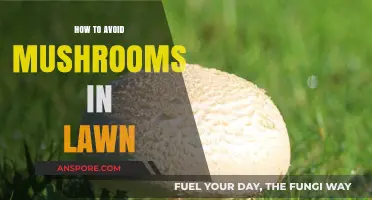 Keep Mushrooms Away: Healthy Lawn, Happy Garden