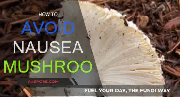 Prevent Mushroom Nausea: Safe Consumption Techniques