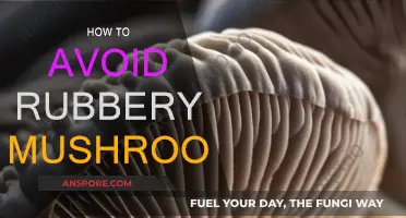 Avoiding Rubberiness: The Art of Picking Mushrooms