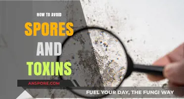 Prevent Spores and Toxins: Essential Tips for a Healthy Environment