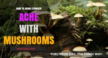 Preventing Stomach Aches: Cooking Mushrooms Safely