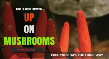 Avoid Nausea: Tips for a Calm Mushroom Trip