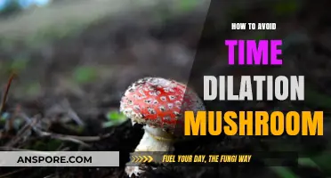Mushroom Consumption: Avoiding Time Dilation Effects
