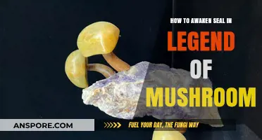 Unsealing the Legend of Mushroom's Secrets