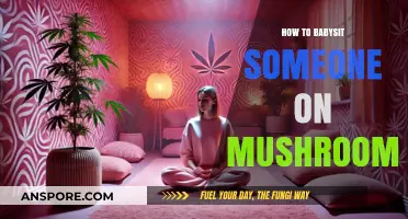 Guide to Babysitting a Friend on a Psychedelic Trip