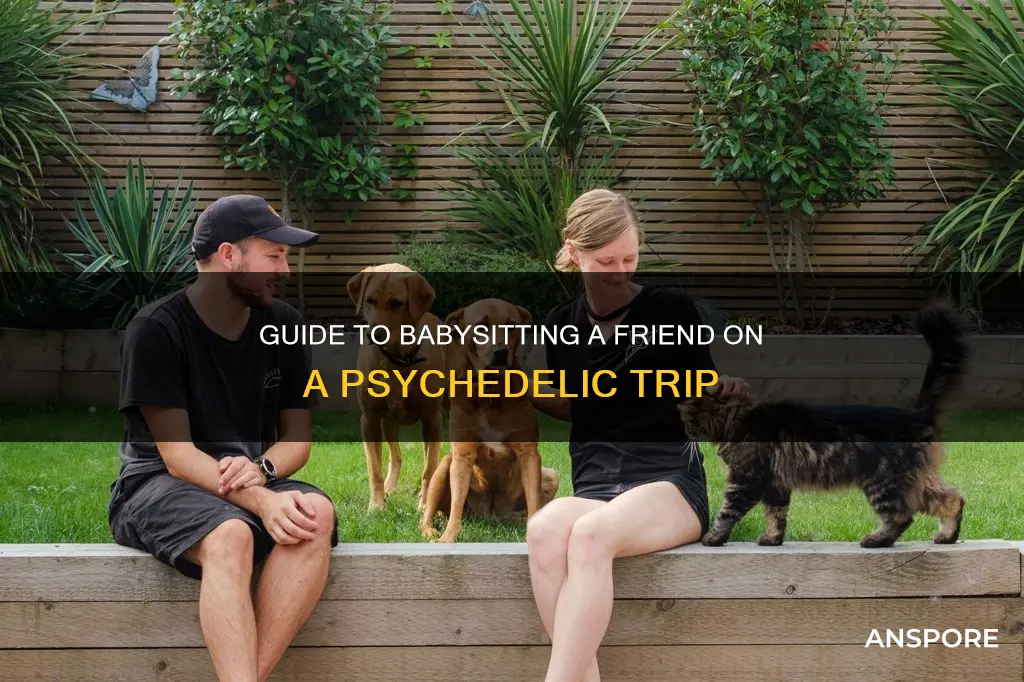 how to babysit someone on mushrooms