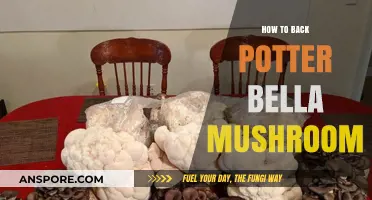 Potter Bella Mushroom: Easy Steps to Grow at Home