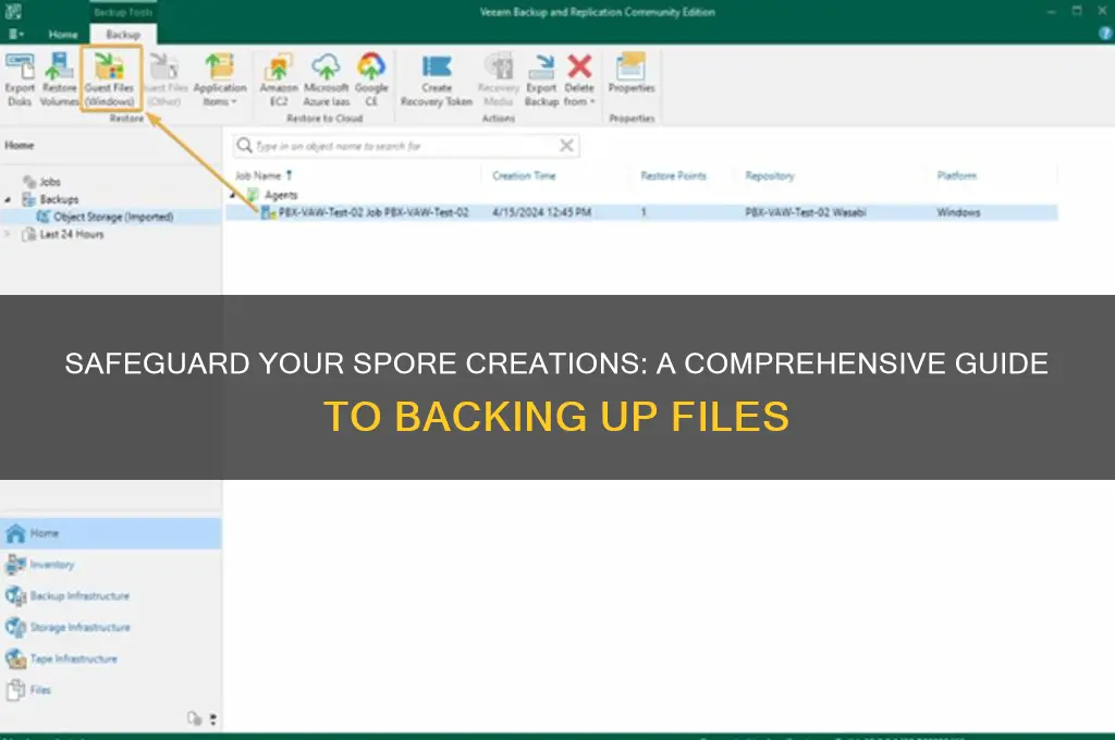 how to back up spore files