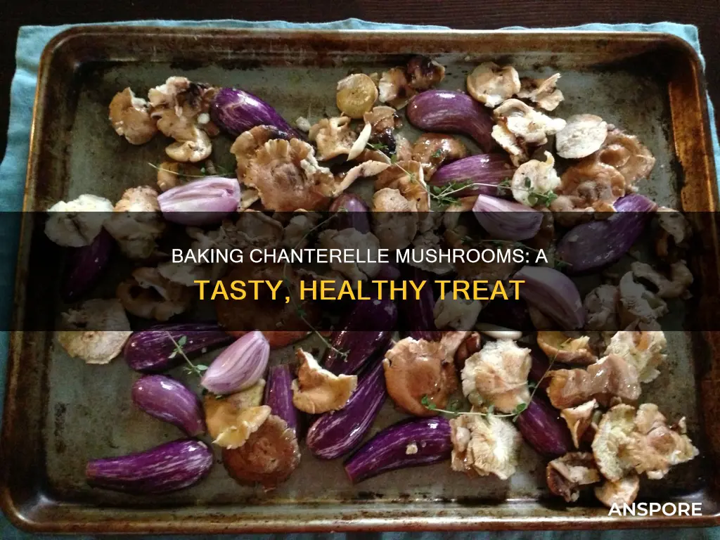 how to bake chanterelle mushrooms
